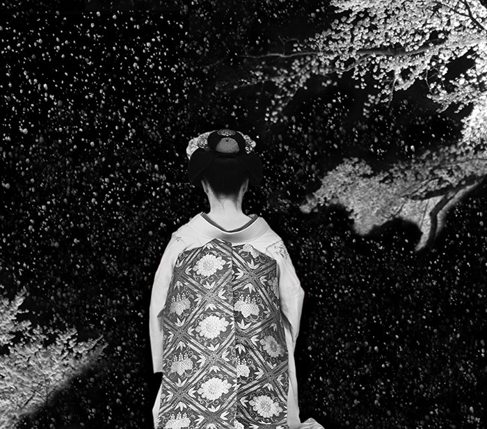 Night Serenades - Fall