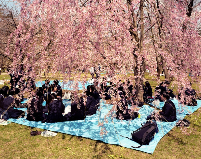 Picnics #01, from the series New Memories