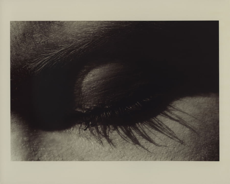 1179_30A, from the series, Let it go