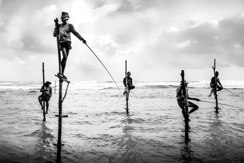 Stilt Fishermen, Sri Lanka