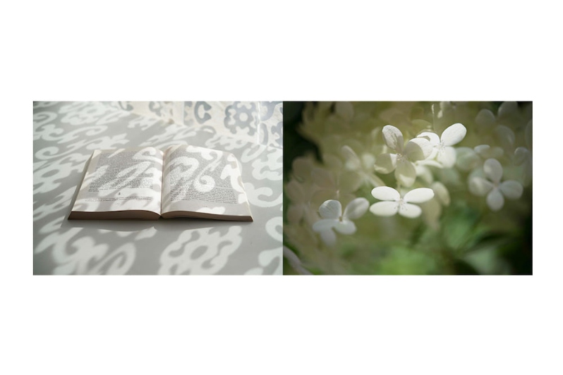 Open Book – Butterfly, series Orchard Trail